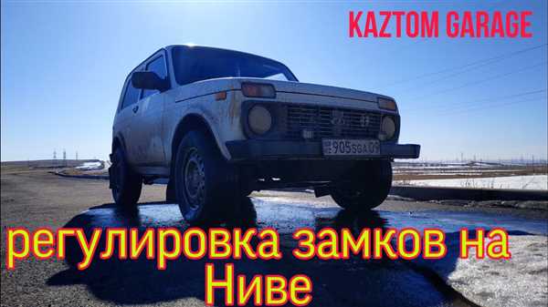 Шаги