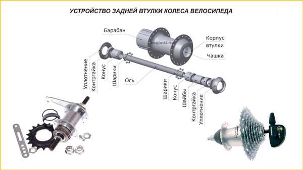 Тип
