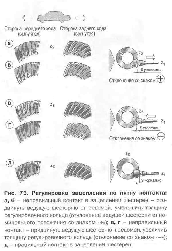 Основные