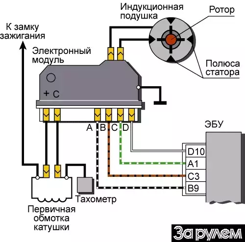 Основные