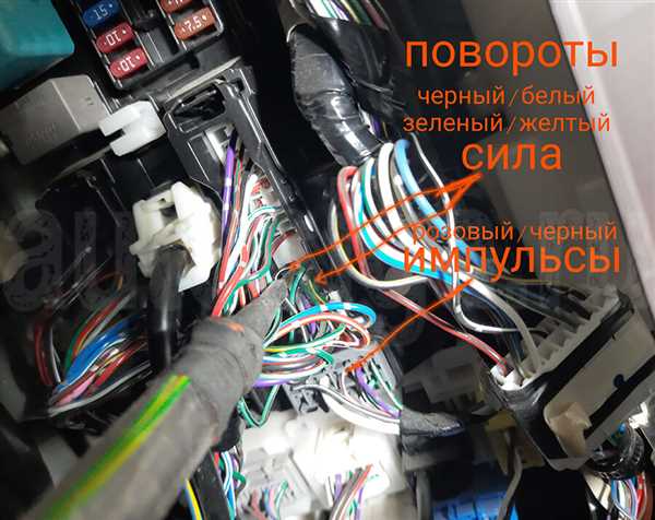 Точки